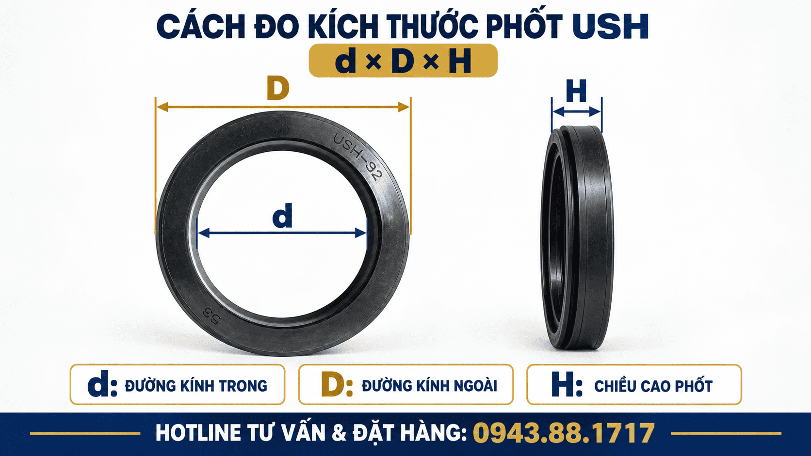Cách đo kích thước phốt USH