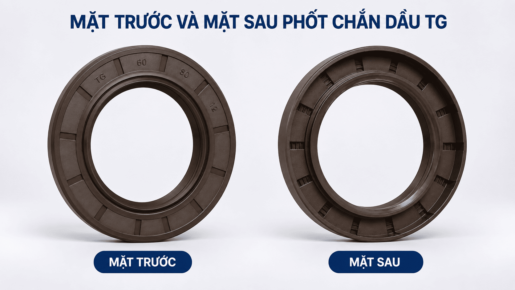 Phốt chắn dầu TG, còn được gọi là phốt TG, phớt dầu TG hoặc TG oil seal, là một dạng phốt hướng kính dùng tại vị trí tiếp giáp giữa trục quay và vỏ máy.