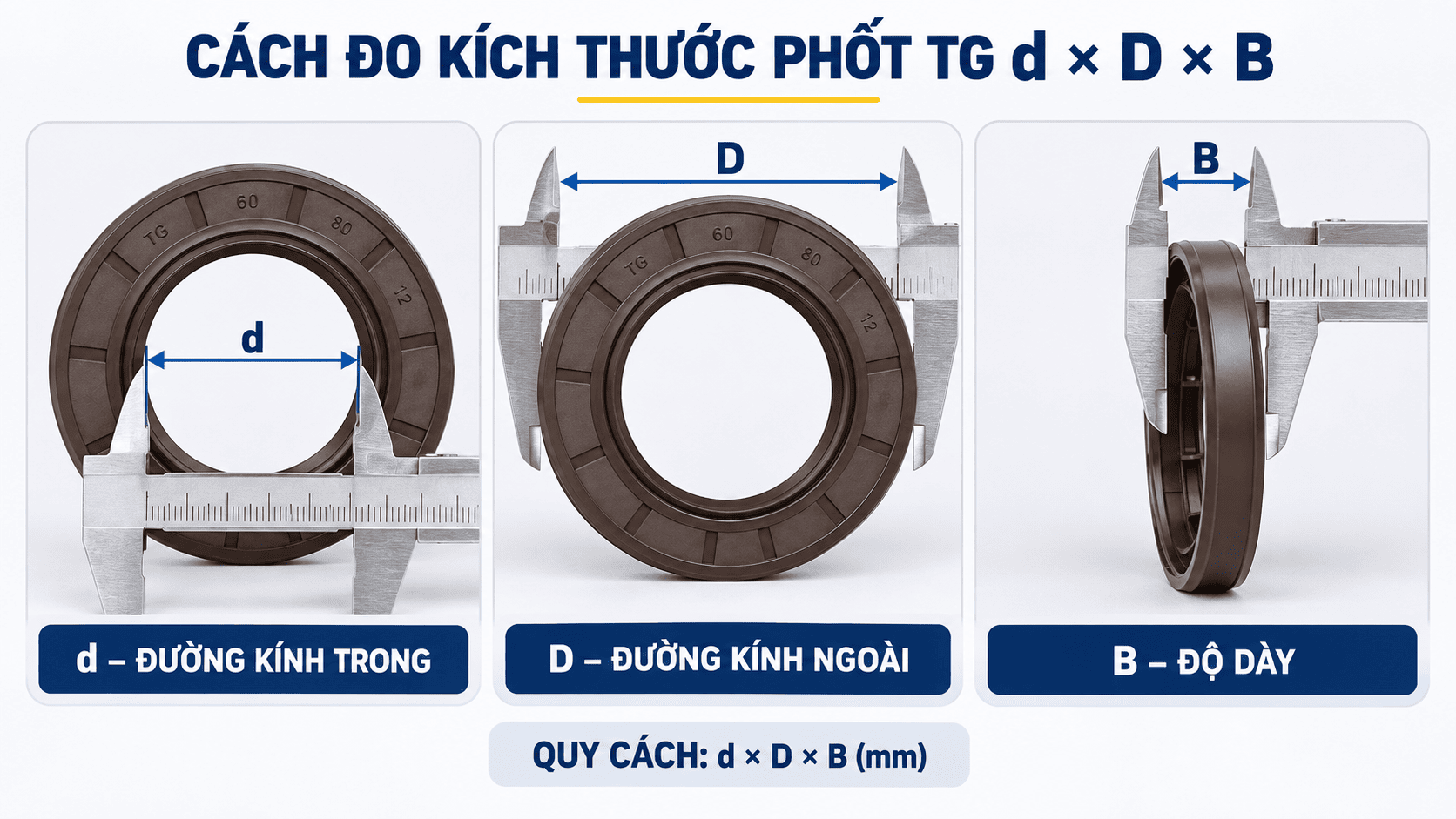 Cách đo kích thước phốt chắn dầu TG d D B bằng thước cặp.