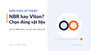 Chọn vật liệu NBR hay Viton FKM (ảnh minh hoạ)