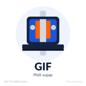Phốt xupap GIF – Vật Tư Miền Nam (ảnh minh hoạ)