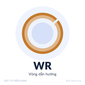 Vòng dẫn hướng WR – Vật Tư Miền Nam (ảnh minh hoạ)